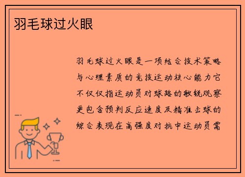 羽毛球过火眼