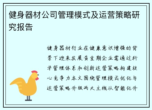 健身器材公司管理模式及运营策略研究报告